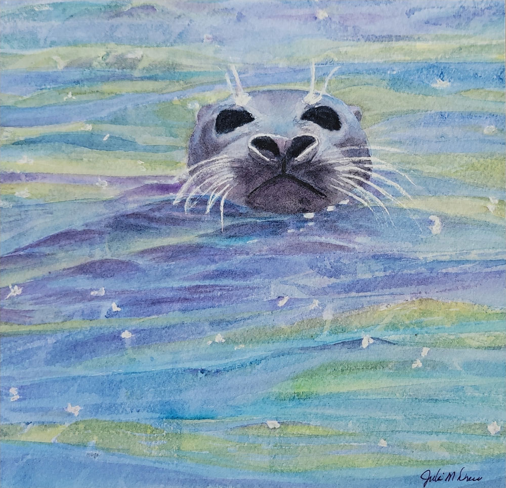 seal sighting, watercolor, 8x8in Julie Drew artist