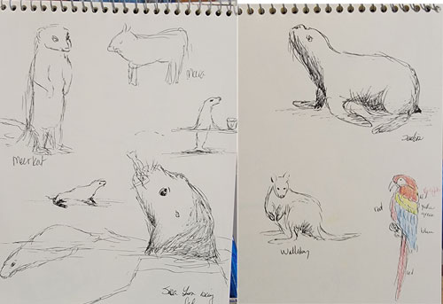 sketchesofanimals1